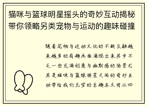 猫咪与篮球明星摇头的奇妙互动揭秘带你领略另类宠物与运动的趣味碰撞